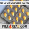 Gelée Orale Kamagra 100 Mg cialis2